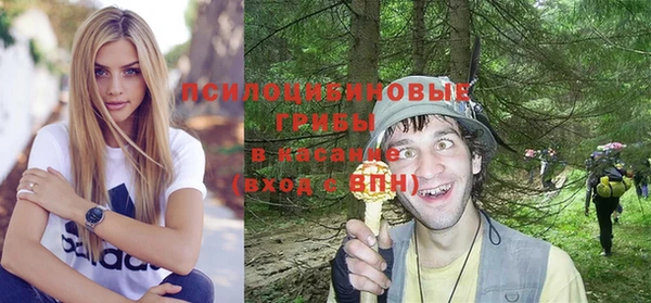 спайс Богородск