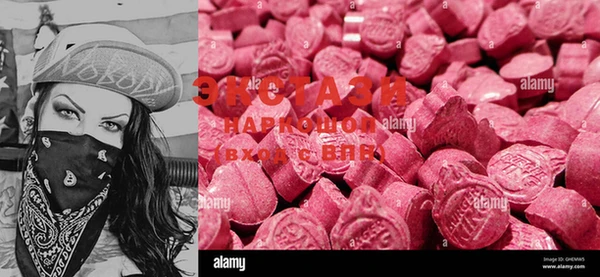 ECSTASY Богородицк