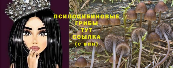 mix Богданович