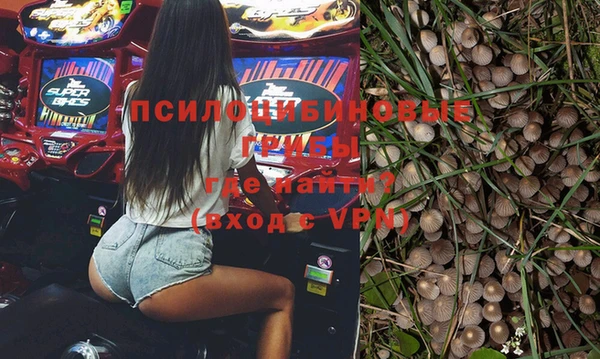 спайс Богородск