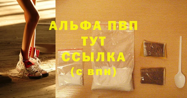 ECSTASY Богородицк
