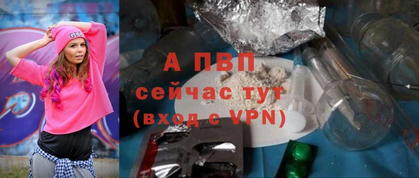 ECSTASY Богородицк