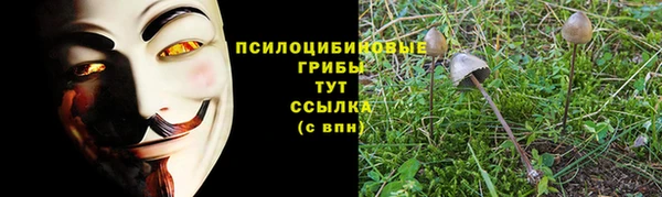 спайс Богородск