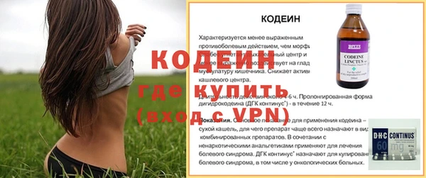 ECSTASY Богородицк